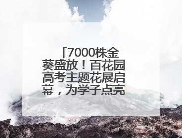 7000株金葵盛放！百花园高考主题花展启幕，为学子点亮“魁首之路”