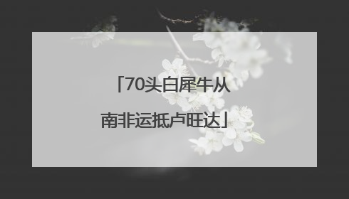 70头白犀牛从南非运抵卢旺达