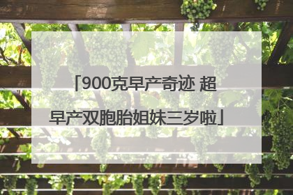 900克早产奇迹 超早产双胞胎姐妹三岁啦