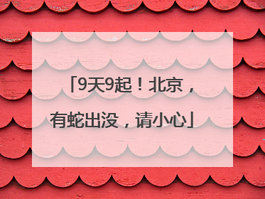 9天9起！北京，有蛇出没，请小心