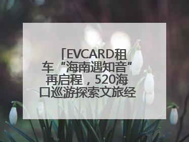 EVCARD租车“海南遇知音”再启程，520海口巡游探索文旅经济新模式
