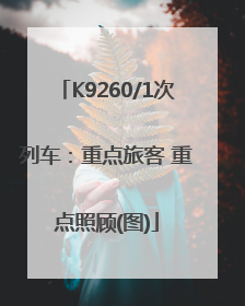 K9260/1次列车：重点旅客 重点照顾(图)