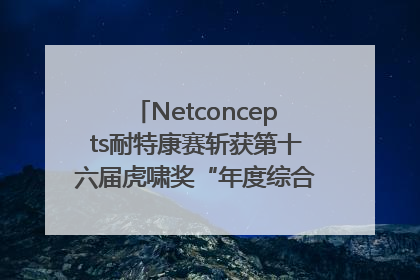 Netconcepts耐特康赛斩获第十六届虎啸奖“年度综合服务商”大奖