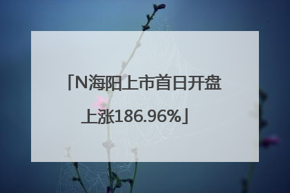 N海阳上市首日开盘上涨186.96%